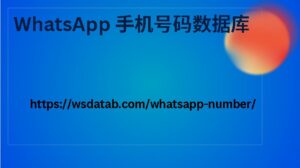 WhatsApp 手机号码数据库