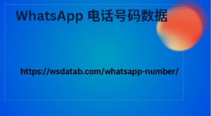 WhatsApp 电话号码数据