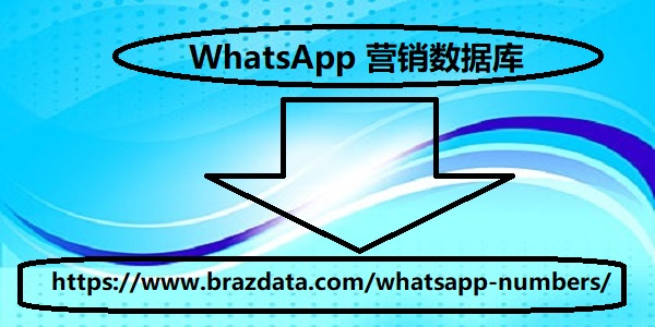 WhatsApp 营销数据库