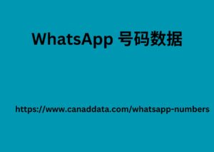 WhatsApp 号码数据